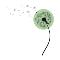 Logo Kita Triengen