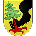 Logo Rüschegg-Graben 300 m