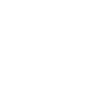 Logo Hess Automobile Group AG