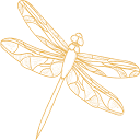 Logo Edelschön