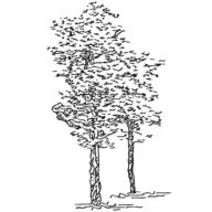 Logo Geeren