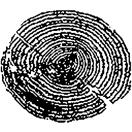 Logo Holzbau Linth