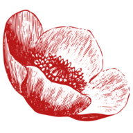 Logo Volver