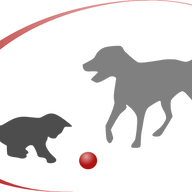 Logo Praxis 4 Pfoten