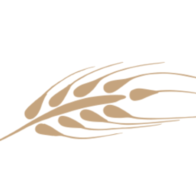 Logo Meier