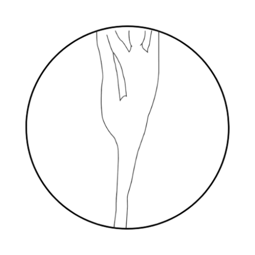 Logo balladyum