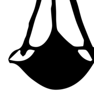Logo zur Salzwaag