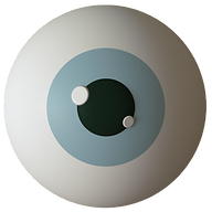 Logo Tanner Optik