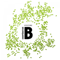 Logo Système B