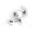 Logo Hotel Soldanella