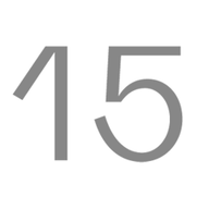 Logo Team15