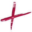 Logo TanzPlus Zwicky