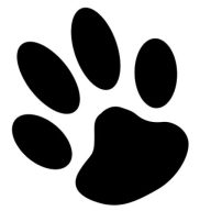 Logo MD VET
