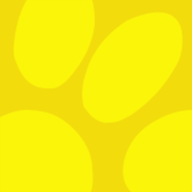 Logo Adonis