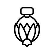 Logo Spitzenhaus