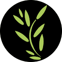 Logo Domaine des Champs sans Dîme