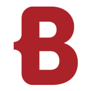 Logo BORM-INFORMATIK AG