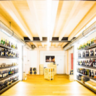 Logo Selection Widmer