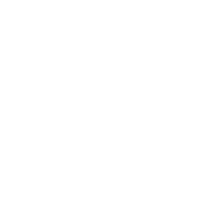 Logo Norqain