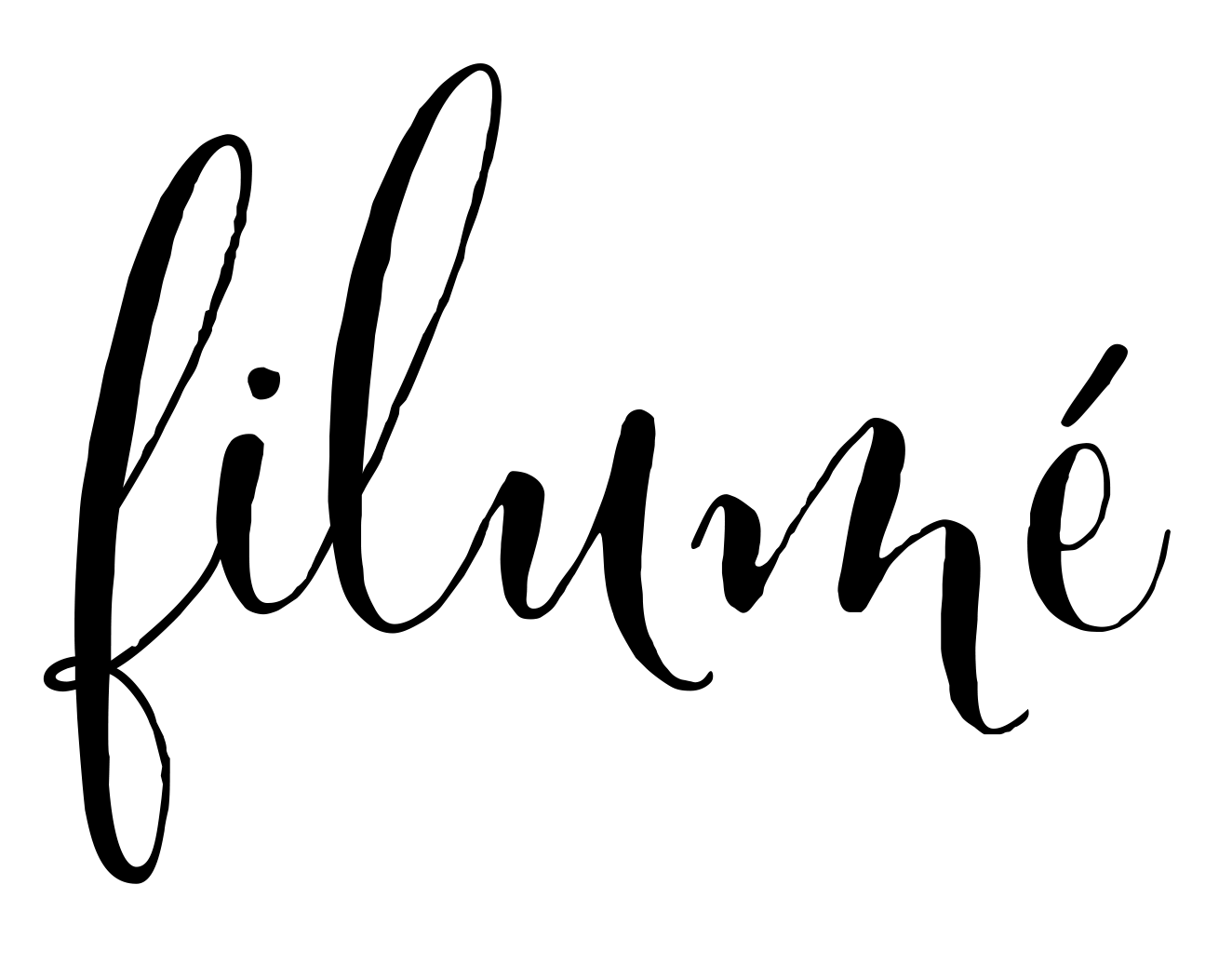 Logo Filumé