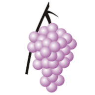 Logo Violetti Weine