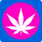 Logo Vapor Spirit