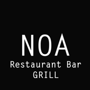 Logo Noa