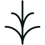 Logo Teehaus Liu