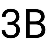 Logo 3B