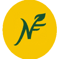 Logo Natural Food