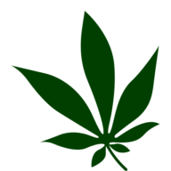 Logo Kahnaqueen