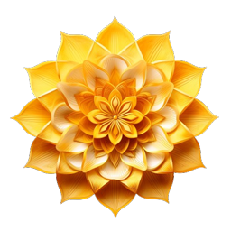 Logo Koy's