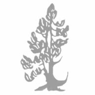 Logo Crusch Alba