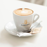 Logo Albanesi