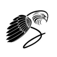 Logo Shahin