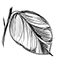 Logo Studio Emmanuel Mazzeo
