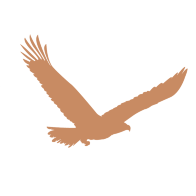 Logo Gasthof/Hotel Adler