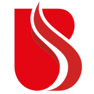 Logo brandschutzpartner gmbh