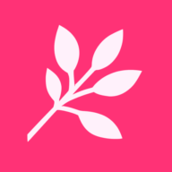 Logo Pont de Chailly Fleurs