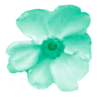 Logo Blütenmeer
