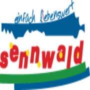 Logo Badi Salez