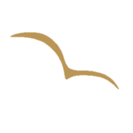 Logo Hotel Restaurant Seemöwe