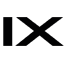 Logo Imaculix AG