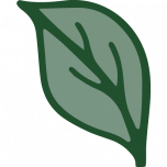 Logo Cabo Sano Naturkost