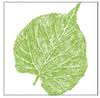Logo Les Peupliers