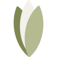 Logo Saveur en Vrac