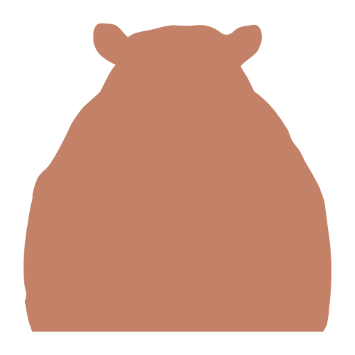 Logo Braunbär Hotel & Spa