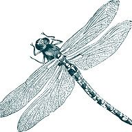 Logo Le Besenval