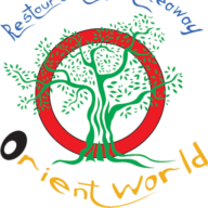 Logo Orient World