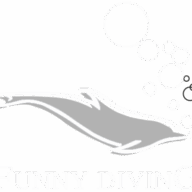 Logo Funny Diving